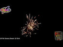 Swamp Beast 22 Shot Barrage Fireworks from Home Delivery Fireworks
